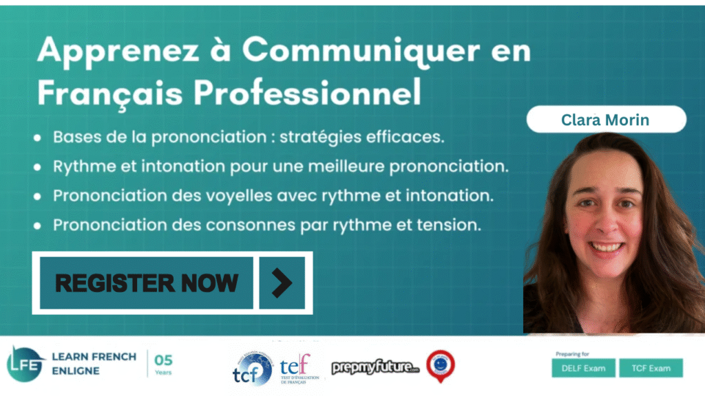 français professionnel