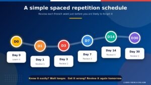 Learn French vocabulary with spaced repetition using colorful flashcards and a Day 1 to Day 30 review schedule